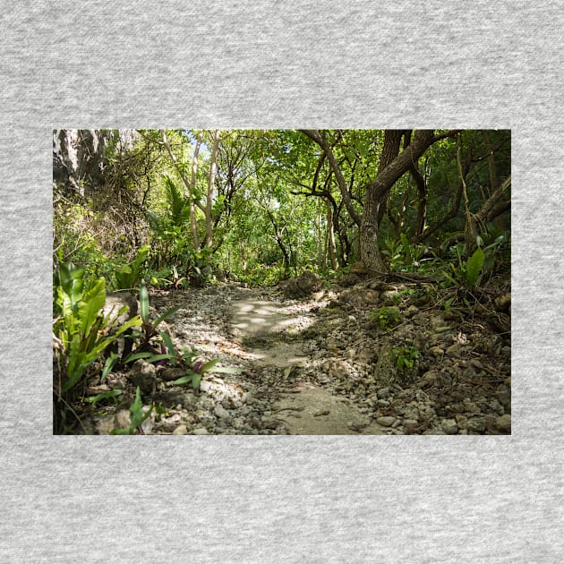 Niue walking track. by sma1050